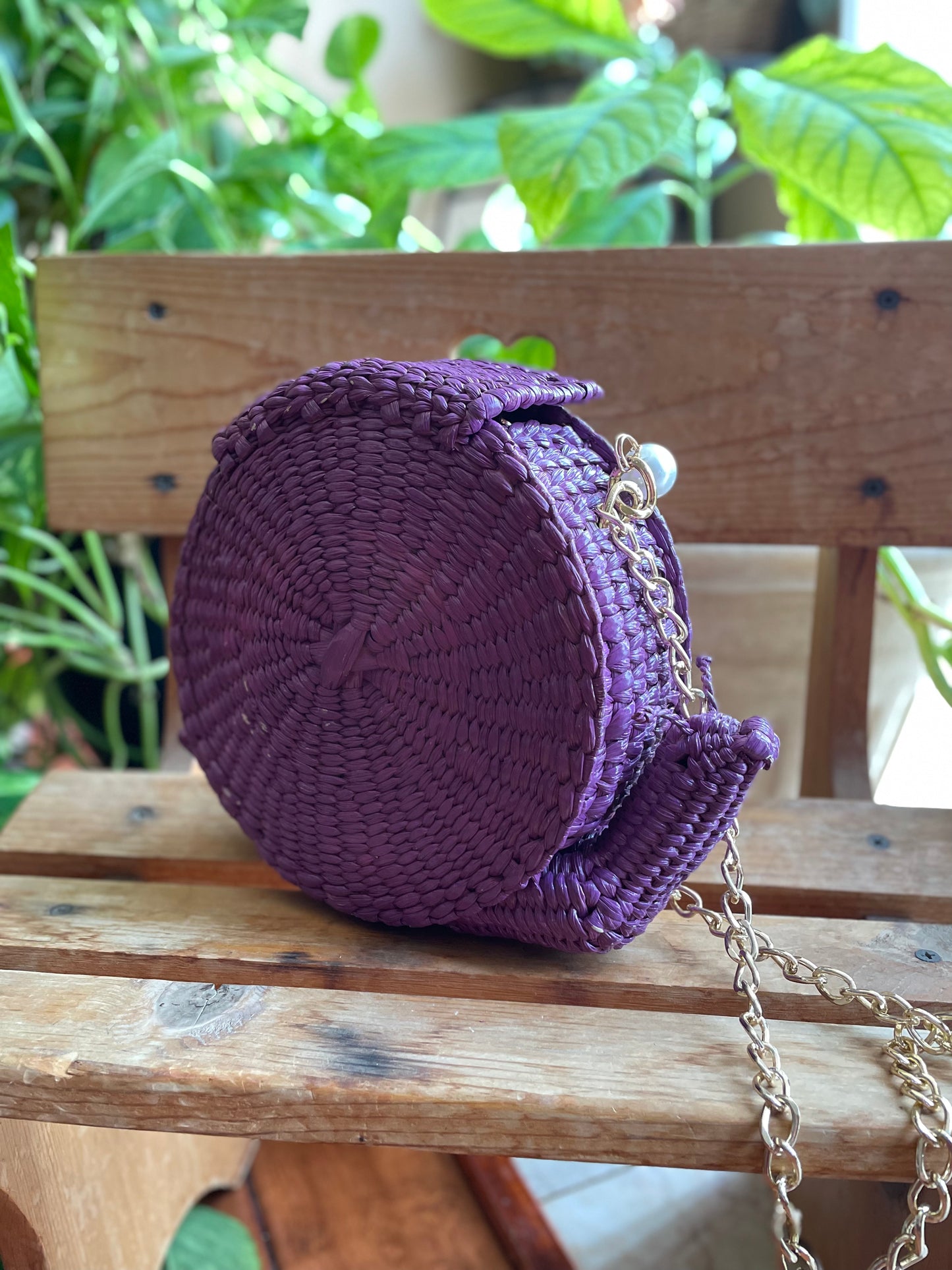 Purple Snail Crossbody Purse