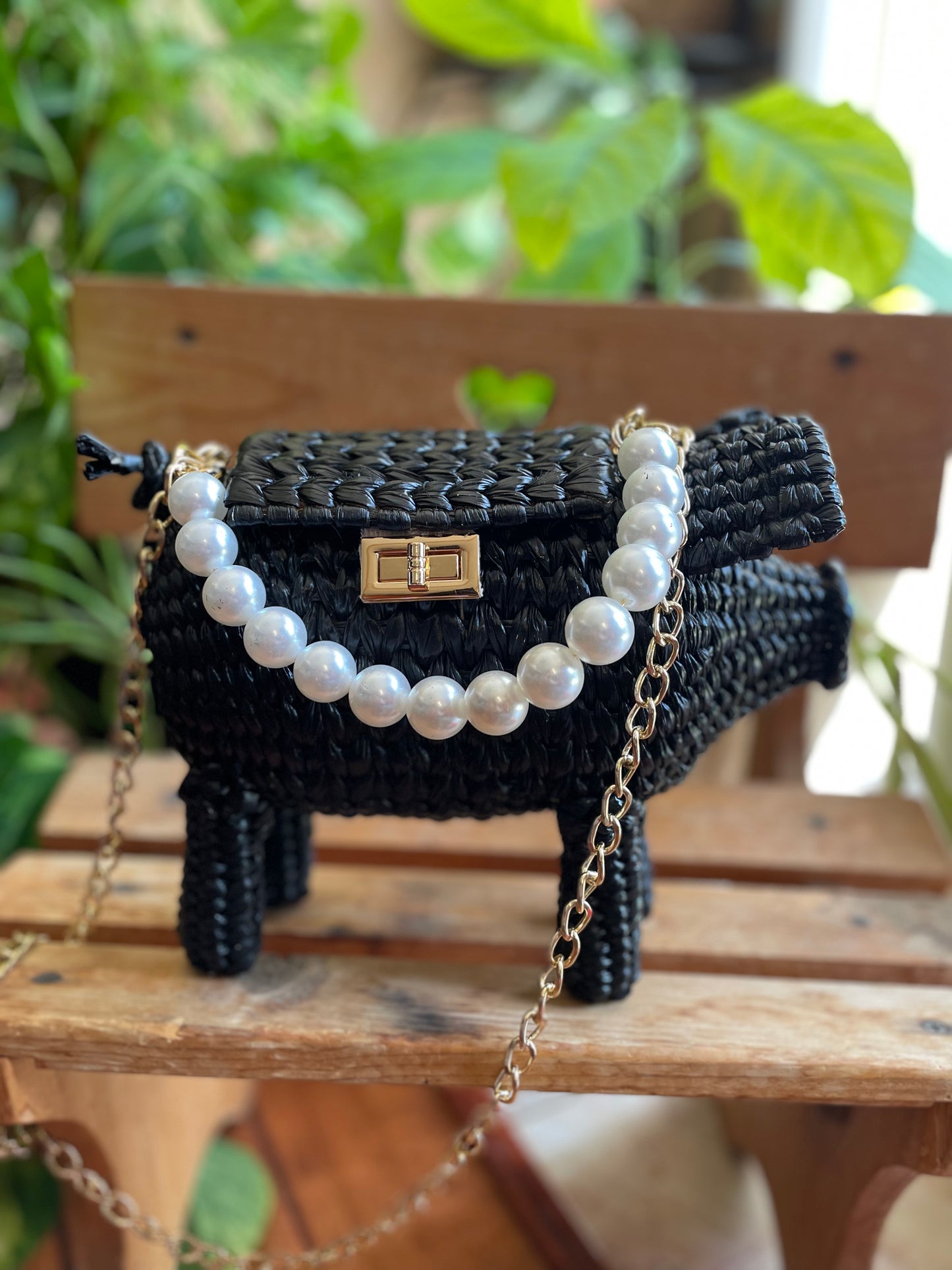 Black Crossbody Piggy Purse